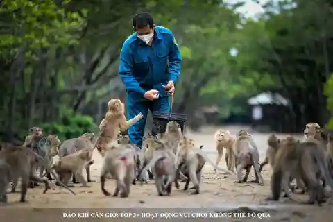 Desde Ciudad Ho Chi Minh: Can Gio Manglar e Isla de los Monos Día...