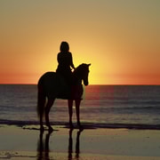 Tamarindo : Randonnée à cheval jusqu'à la plage de Conchal Guanacaste, Costa Rica