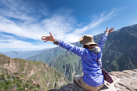 Arequipa: Colca Canyon en thermale baden dagtour