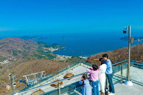 Oedo Island Botania & Geoje Private Day Tour from Busan
