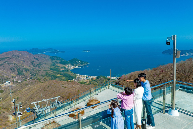 Oedo Island Botania & Geoje Private Day Tour from Busan