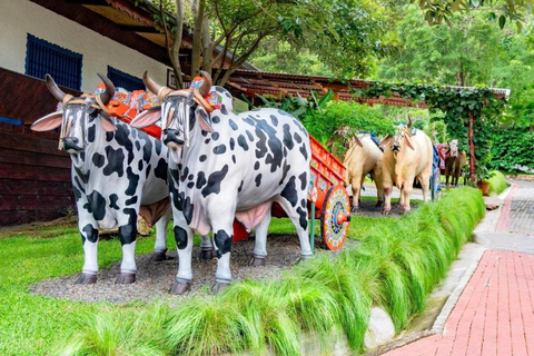 San José: Hacienda La Chimba Coffee Experience Tour