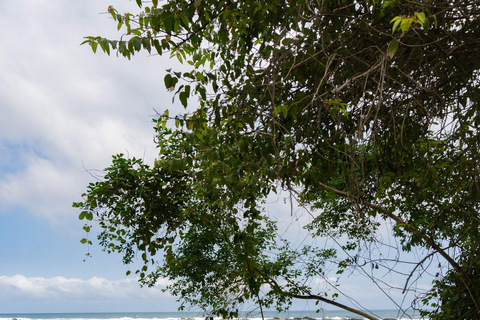 Santa Marta: Tayrona Park Cabo San Juan Day Hike