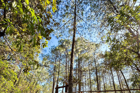 Tierras Altas de Juárez: Experiencia Ecoturística y Taller