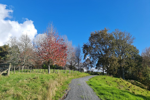 Naturrundtur i Auckland