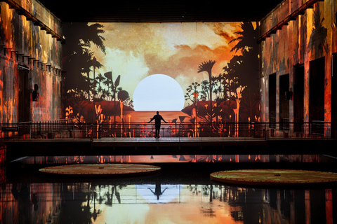 Bordeaux : Bassins des Lumières Billet d&#039;entrée