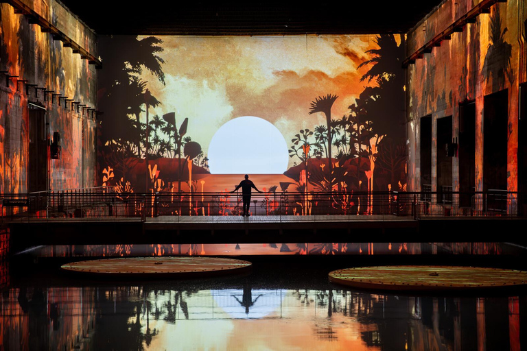 Bordeaux : Bassins des Lumières Billet d&#039;entrée