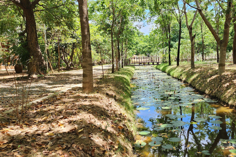 Small Group to Silk Island and Udong Mountain