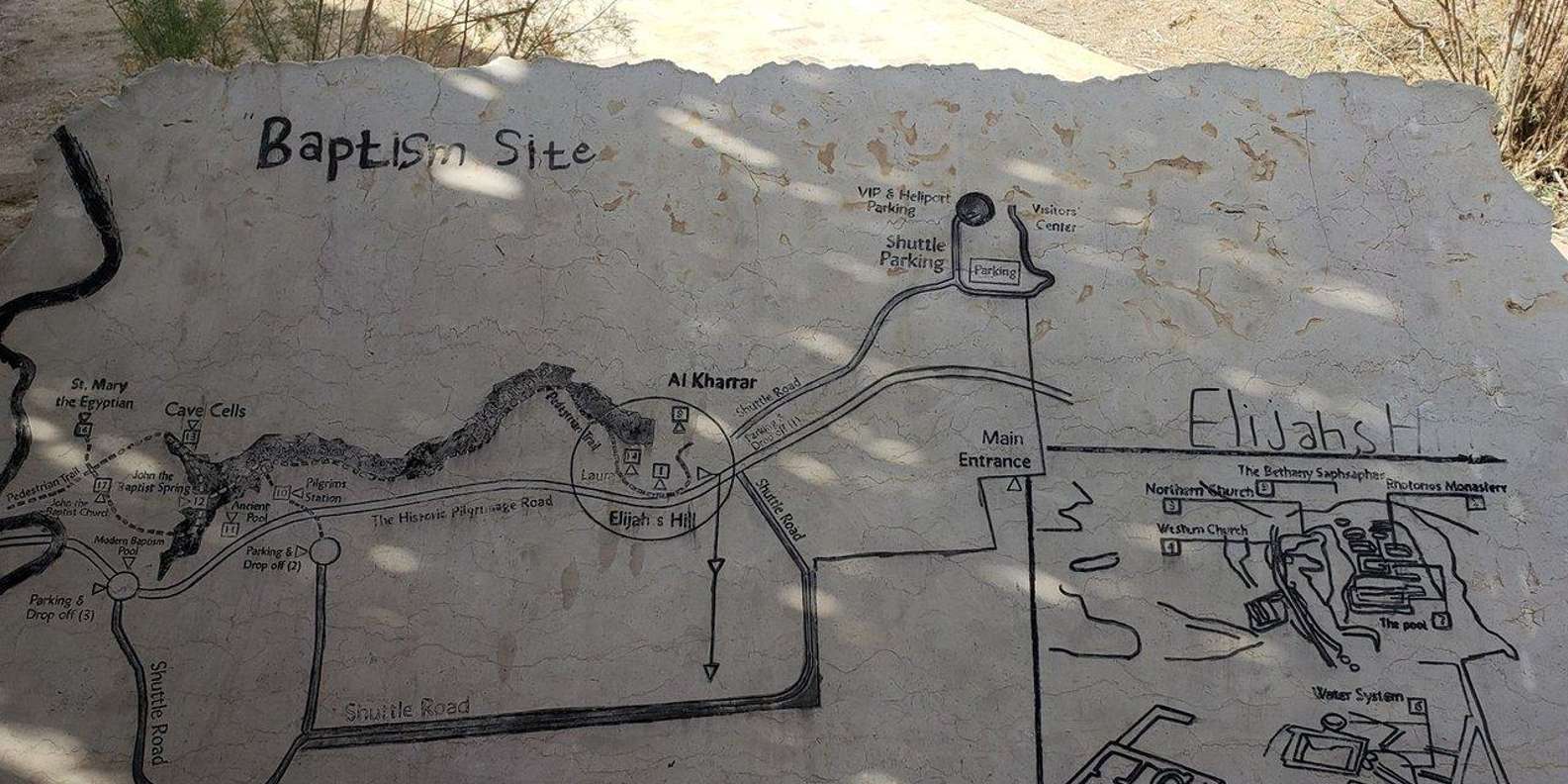 section