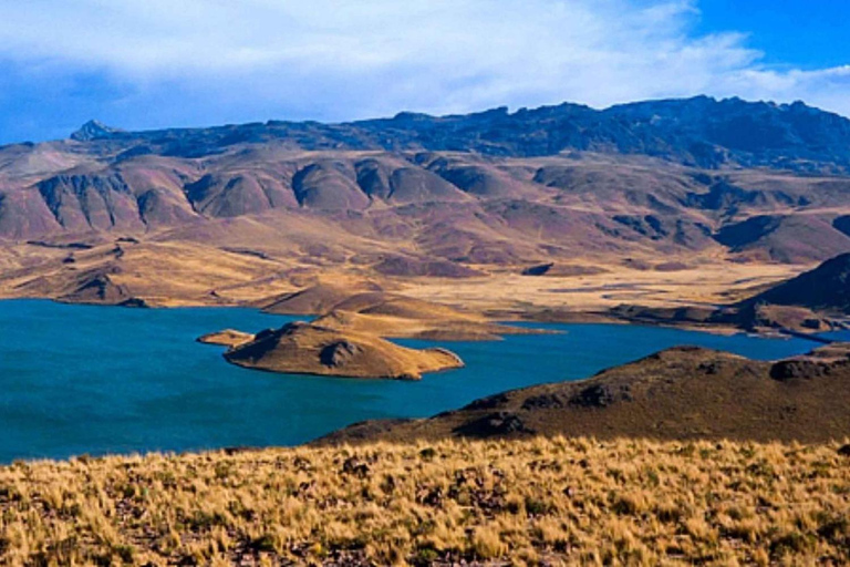 Transfert de Puno à Chivay