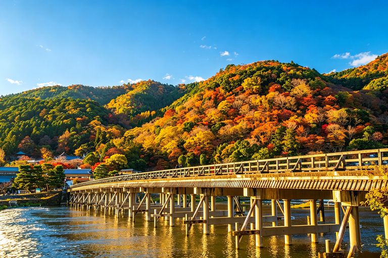 Osaka/Kyoto: Arashiyama, Nara Park & Fushimi Inari Day Tour Kyoto Departure: Private Sightseeing Tours