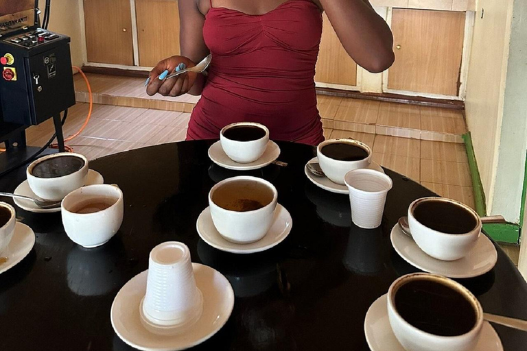 Nairobi: Tour della tenuta del caffè Fairview con trasferimenti