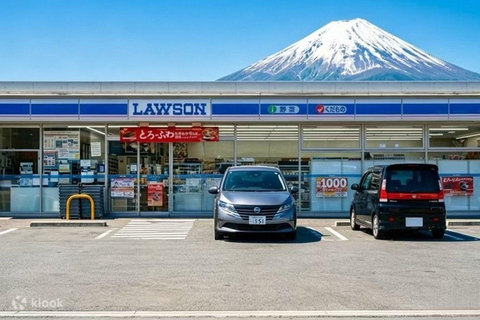 Tokyo: Mount Fuji & Pagoda & Oshino Hakkai & Lake Kawaguchi Route B : Mount Fuji & Hakone Private Customizable Day Trip