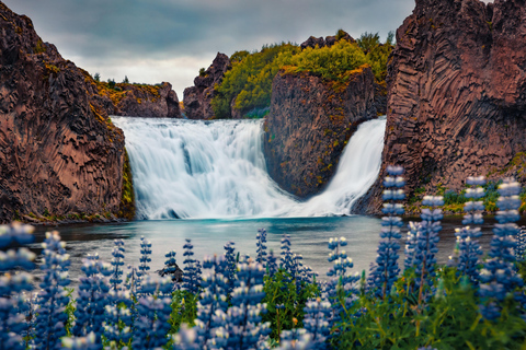 From Reykjavík: Landmannalaugar Transfer with Scenic Stops