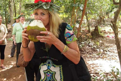 ZANZIBAR: Kryddodling, Stone Town-rundtur och Makachu DiversPRIVAT TUR TRANSFER INGÅR EJ