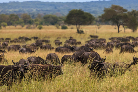 From Zanzibar: 2-Day Selous Safari with Flights & Lodge Stay 2-Day Selous Safari - Without Transfer