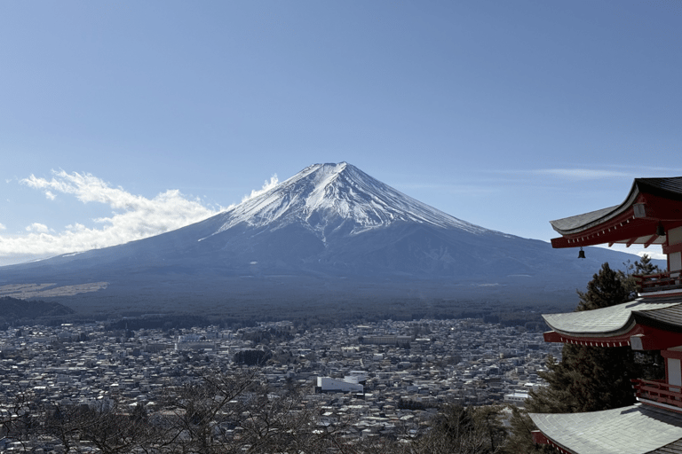 From Tokyo: Private Mt. Fuji SNS Photo Tour by Luxury Car