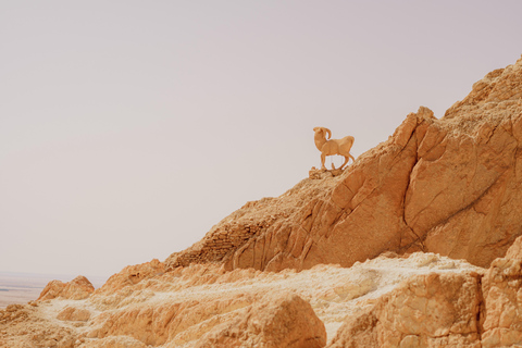 Tunisia: 2-Day Sahara Escape with Desert Camp & Oasis Pickup from Sousse/Monastir & Surrounding Areas
