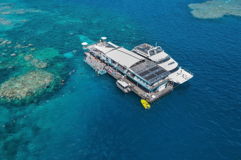 Ab Cairns: Great Barrier Reef Tour mit Marine World PontoonKreuzfahrt mit Marine Marine World Pontoon & Schnorchelsafari
