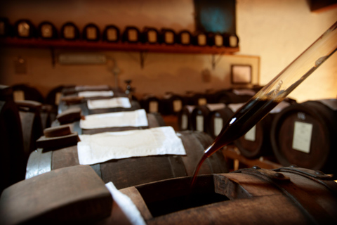 Modena: Organic & Traditional Balsamic Vinegar Tour with EVO Oil Tasting