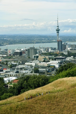 Auckland PRIVATE TOUR: Half-Day City Tour - 6 hrs