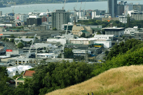 Auckland: Scenic Highlights Tour with Ferry Ride