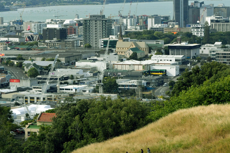 Auckland: Scenic Highlights Tour with Ferry Ride
