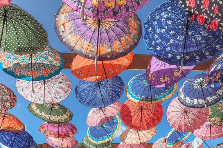 Sao Roque: Private Wine Tour with Breakfast and Lunch