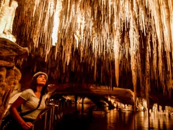 Mallorca: Excursión a las Cuevas del Drach desde el Norte con paseo en barco