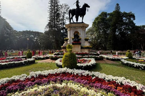 Kerala: Kochi, Munnar, Alleppey & Trivandrum Multi-Day Tour From Kochi: 7 Days Private Tour (All Inclusive)