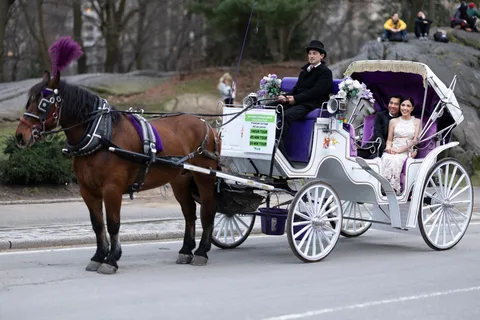 Giro in carrozza reale a Central Park NYC