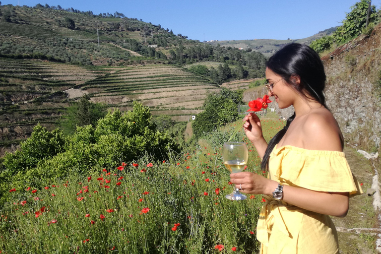 Ab Porto: 2 Weinregionen, privates Boot und Mittagessen mit dem Chefkoch