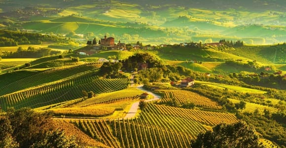 Langhe-Tour mit Weinprobe – private Tour