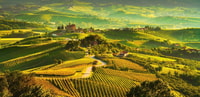 Tour della regione di Langhe di un'intera giornata con esperienza di degustazione di vini - Housity