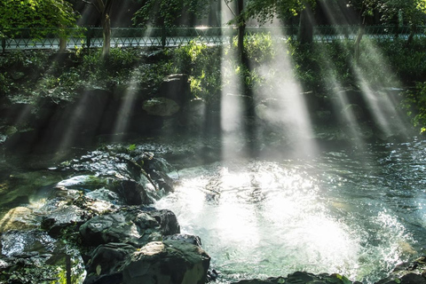 Shanghai: Hangzhou Day Trip with West Lake & Lingyin Temple Shanghai: Hangzhou Guided Day Trip By Bullet Train