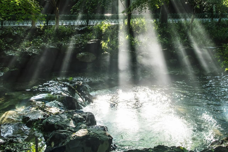 Shanghai: Hangzhou Day Trip with West Lake & Lingyin Temple Shanghai: Hangzhou Guided Day Trip By Bullet Train