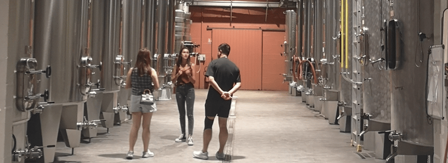 Circuit dans le Médoc au départ de Bordeaux : 2 domaines et 6 vins