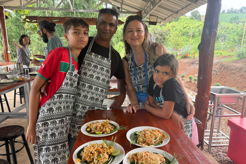 Chiang Mai: Elephant Sanctuary & Thai Cooking Workshop Meeting Point In Town