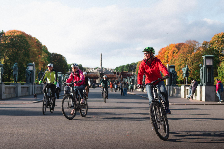 Private Highlights of Oslo by Bike Private Booking 1-4 guests