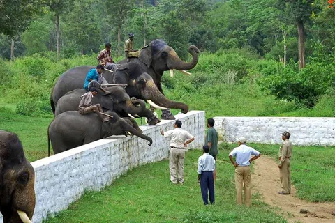 From Mysore: Coorg Private Day Tour