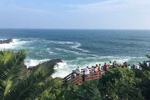 Busstur till västra Jeju-ön från Seogwipo stad, Jeju-ön