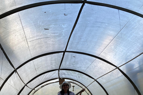 From Medellín: Half Day Private Coffee Tour