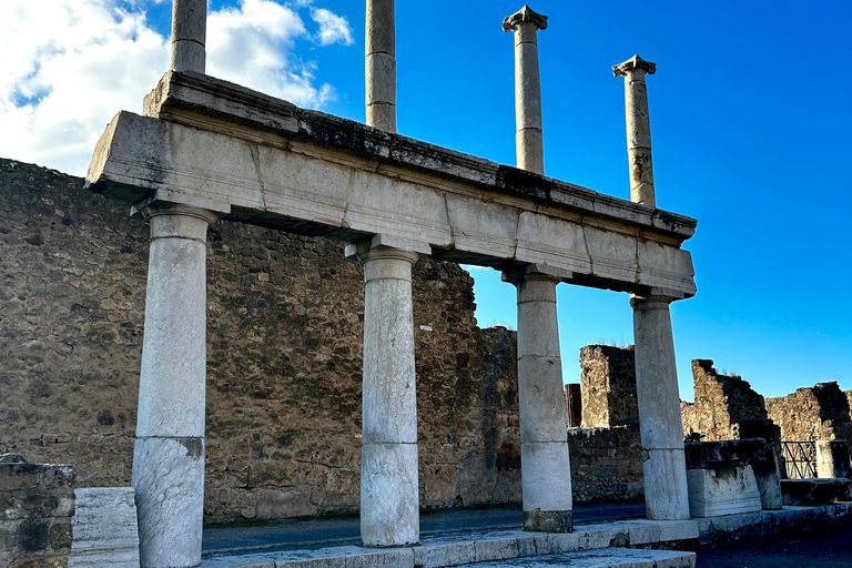 从那不勒斯或索伦托出发游览阿马尔菲海岸和庞贝古城从那不勒斯出发的私人飞机