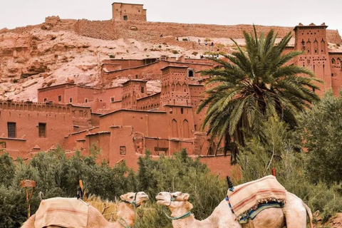 From Marrakech: 3-Day Merzouga Tour with Camel Trek & Luxury Camp Shared Standard Sahara Tour – Popular Choice