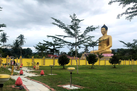Penang: Perlis Day Trip with Cave Tour and Street Art