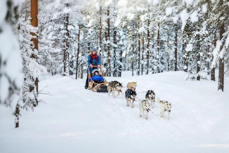 Rovaniemi: Santa Village,2km Husky Sled Ride & Snowman World Rovaniemi: Santa Village, Snowman World & Husky Sledge Ride