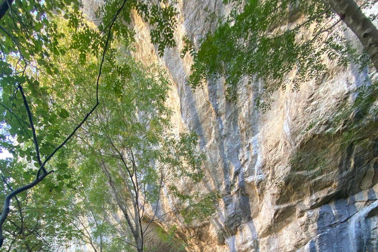 Depuis Tirana : Château de Petrela, grottes de Pellumbas et tyrolienne ...