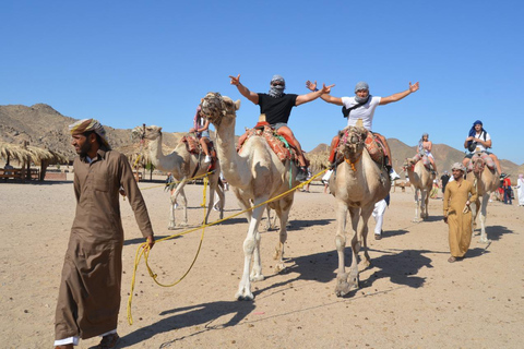 Hurghada: Camel Ride & horse ride and Off-Road Jeep Tour pickup from hotels inside hurghada