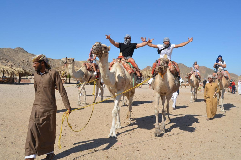 Hurghada: Camel Ride & horse ride and Off-Road Jeep Tour pickup from hotels inside hurghada