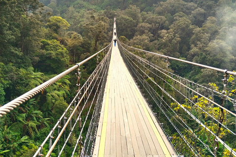 From Jakarta/Bandung: Sky-Bridge & Volcanic Crater Tour Start from Bandung
